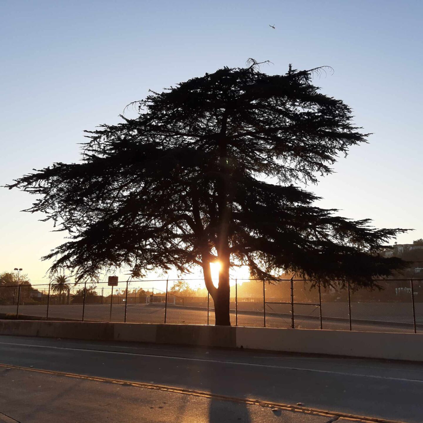 Fading light in Silver Lake